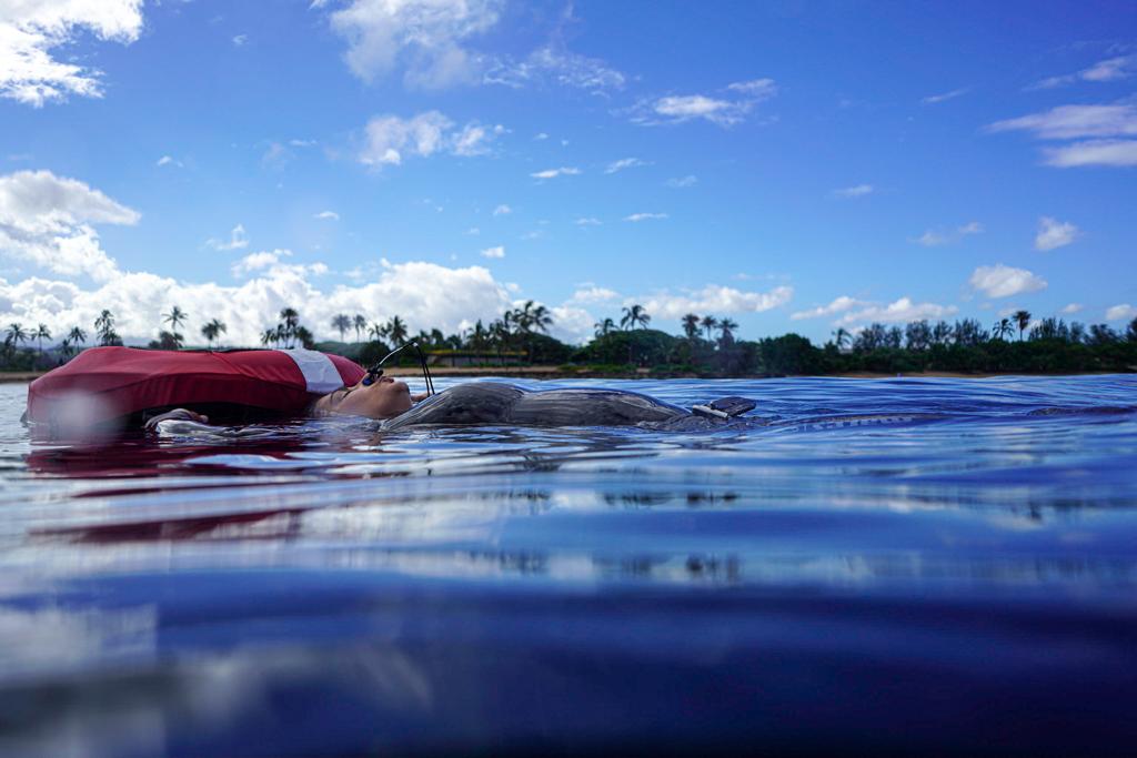 Elaine Hicks floating at the surface beside a freediving buoy.